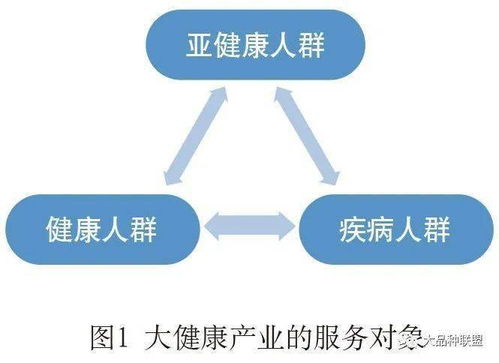 健康咨詢服務 我國大健康產業的關鍵環節與發展路徑